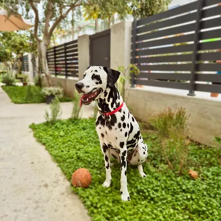 Minimalist Seaside With Private Patio And Parking - Blue Zone Homes Olympiakí Aktí